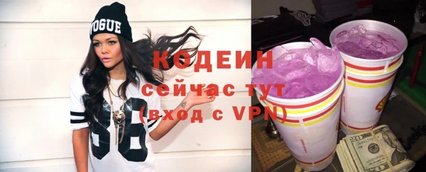 амф Вуктыл