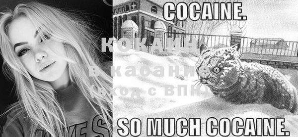 COCAINE Галич